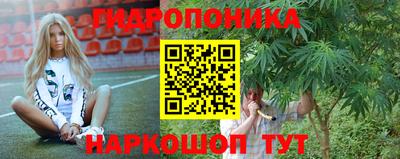 индика Аша
