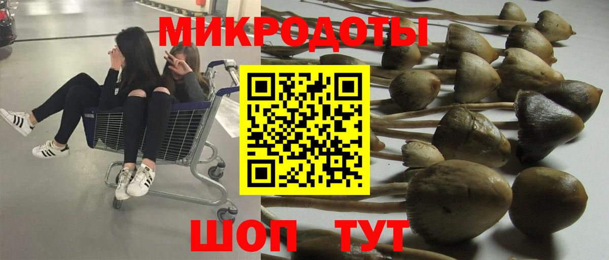 Псилоцибиновые грибы MAGIC MUSHROOMS  Вход с VPN  где купить наркотик  Галлюциногенные грибы мухоморы  Волжский 